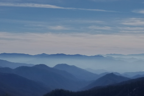 Winter 2025 Newsletter